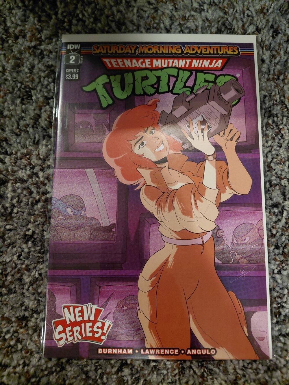 Teenage Mutant Ninja Turtles Saturday Morning Adventures IDW # 2 Cover C